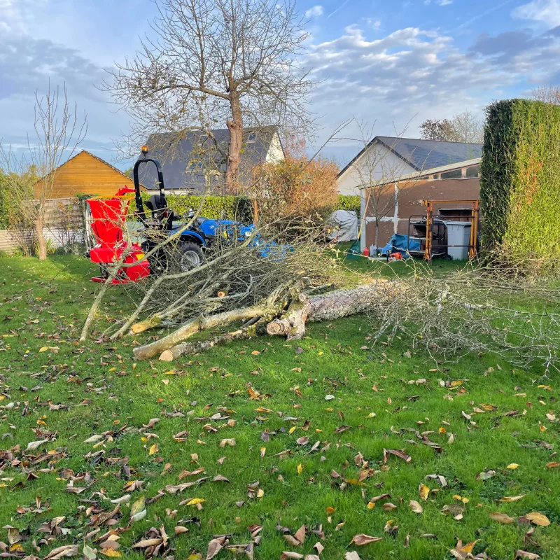 Abattage et broyage de branches — Roumare