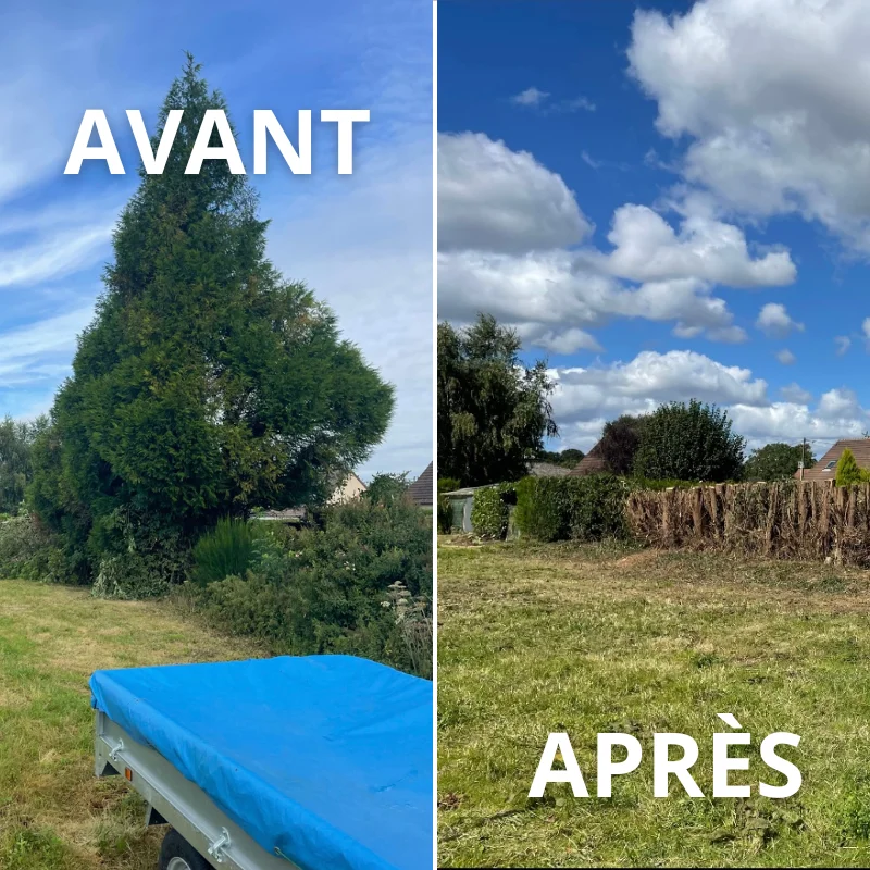 Abattage de sapin — Sainte-Marguerite-sur-Duclair