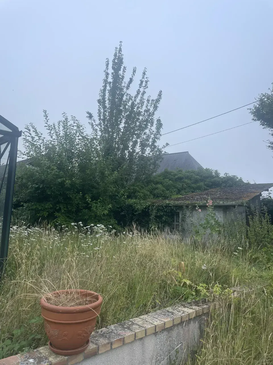 Avant — Remise en état d’un terrain