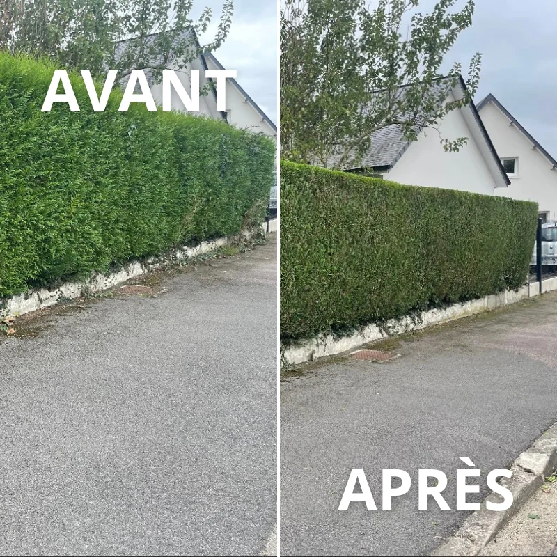 Taille de haies — Roumare